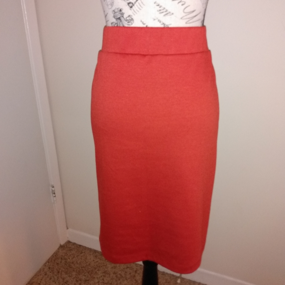 NWT Sunny Leigh Designer Stretch Skirt